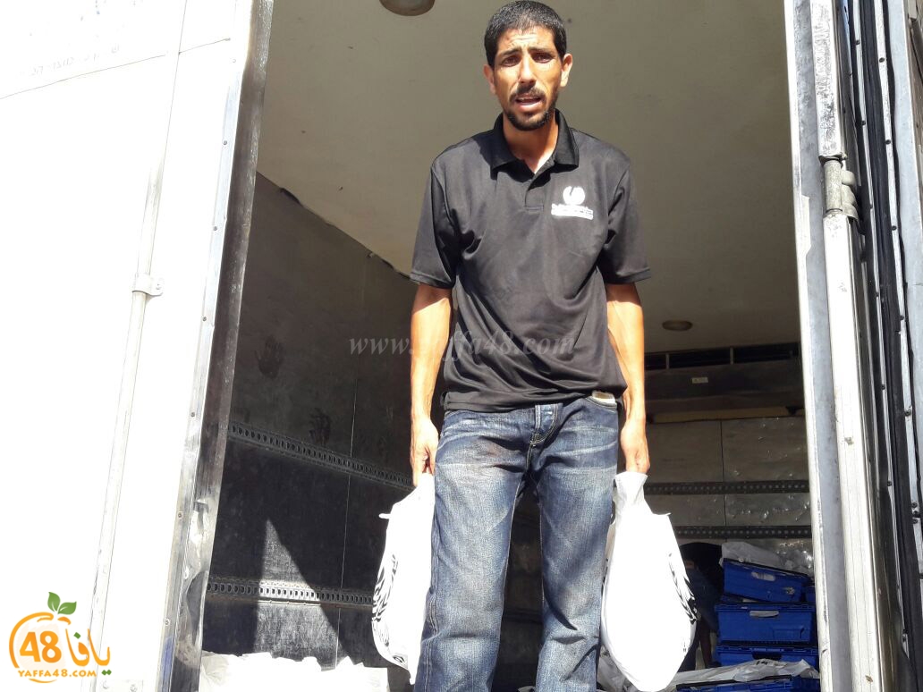 lod8om ada73y (71).jpg